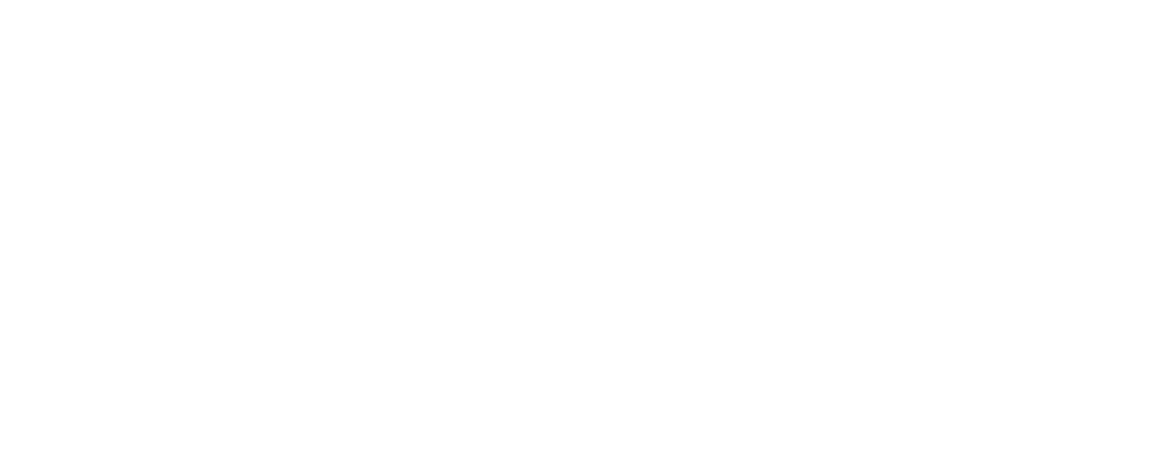 INDES-IDS BV